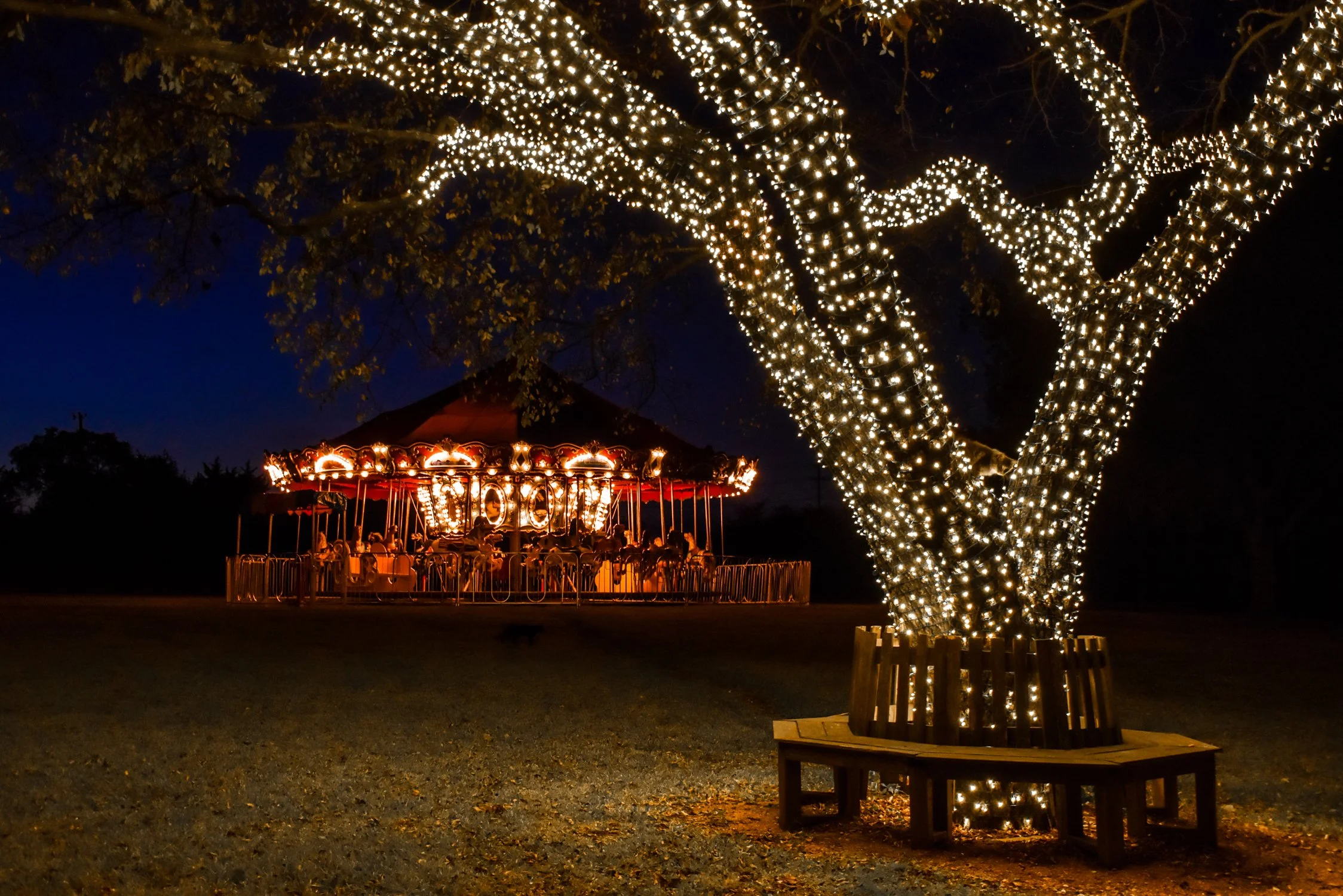FAQs 1 — Miracle On 134th Street
